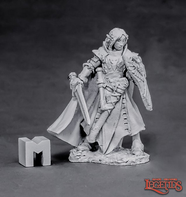 Alandin Elf Paladin - 3863