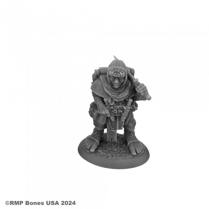 Dodger Barncock Halfling Rogue - 7134