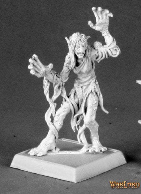 Sea Hag Razig - 14578