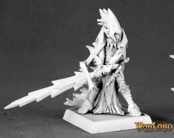 Avrix Dirthe Dark Elf Champion - 14594