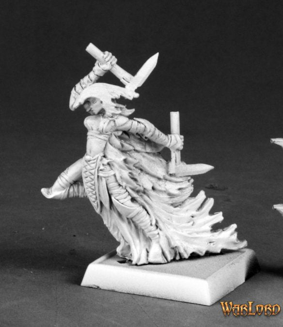 Darkshade Raider - 14609