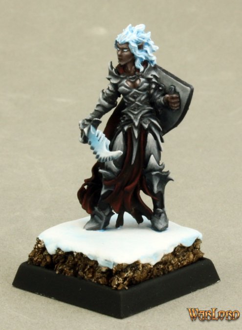 Evshyvandra Duskwidow Dark Elf Warrior - 14631