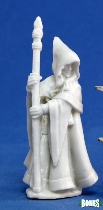 Anirion Wood Elf Wizard - 77068