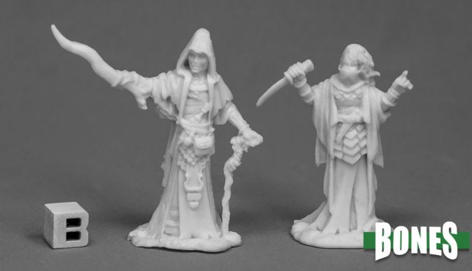 Cultist Priests (2) - 77518