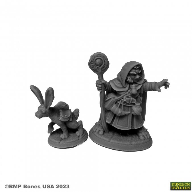 Hollis Grayheath Halfling Druid and familiar - 07096