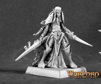Dark Elf Warrior - 14570
