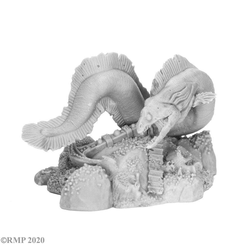 Sea Dire Moray - B5617