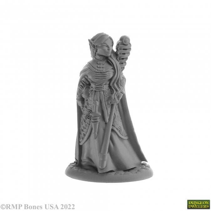 Anthanelle  Elf Wizard - 7028