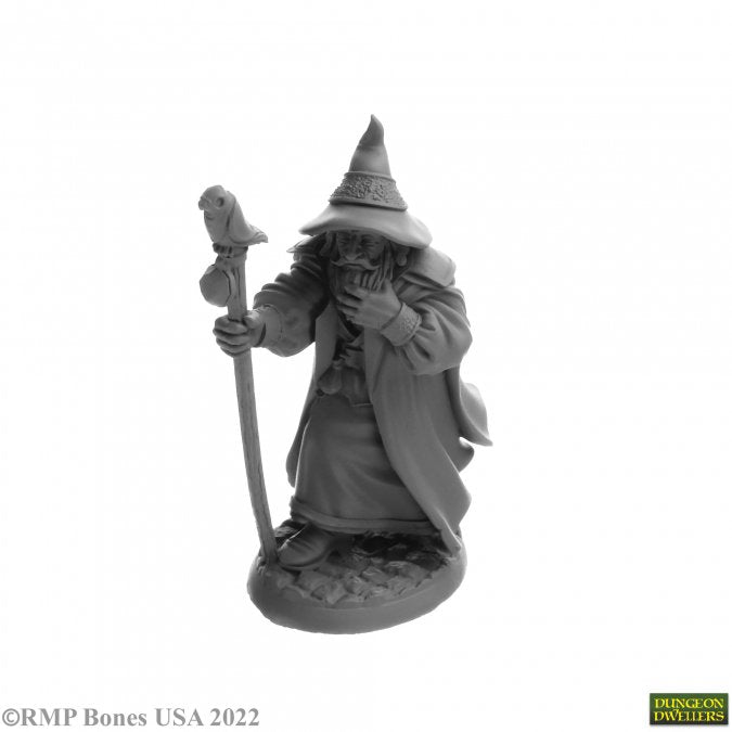 Landol Griwsold  Human Wizard - 7068