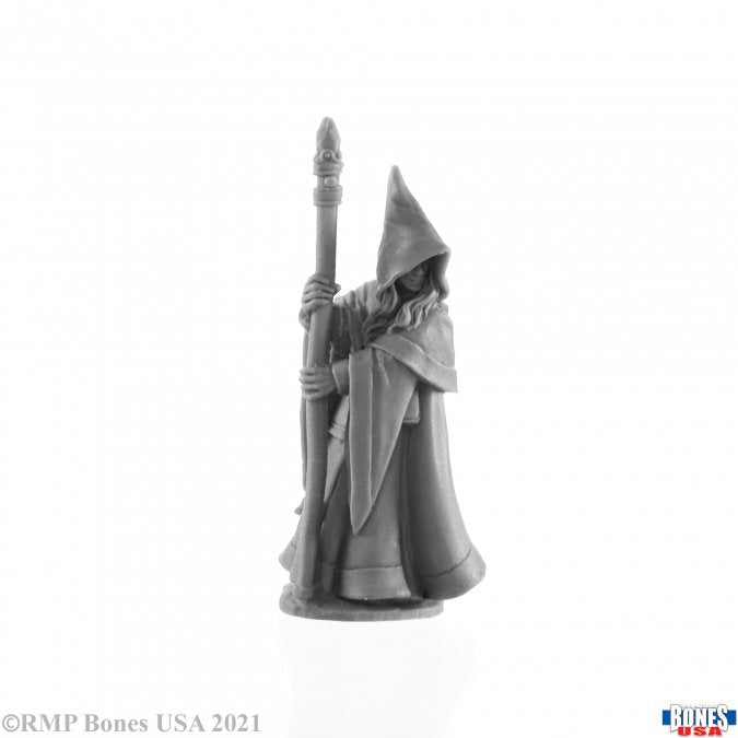 Anirion  Elf Wizard - 30027