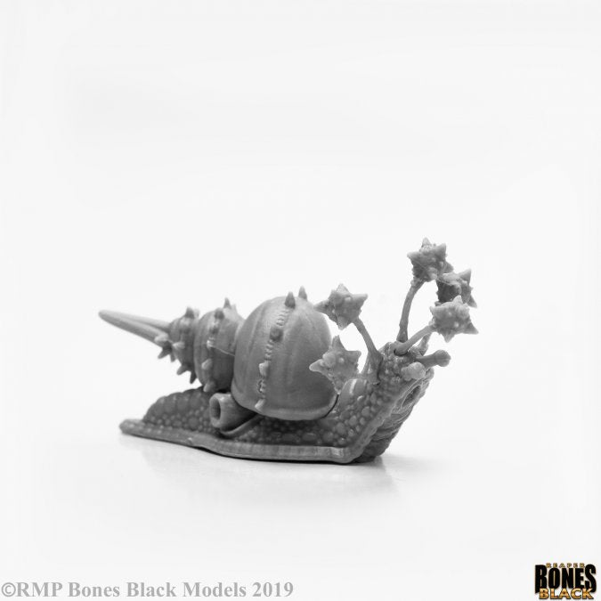 Thrasher Snail - 44116