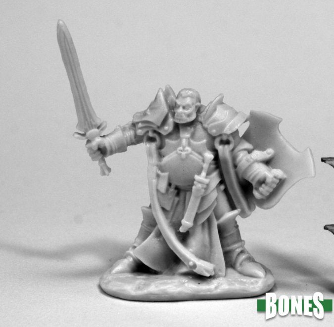 Jurden  Half Orc Paladin - 77438