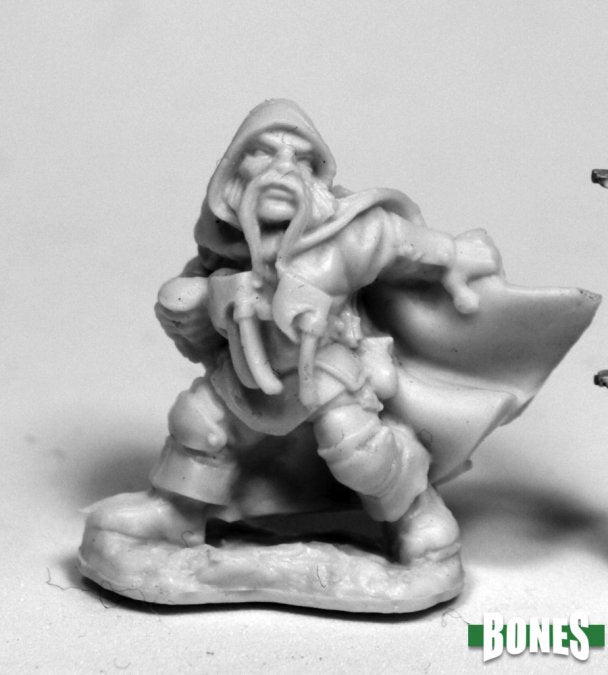 Klaus Copperthumb  Dwarf Thief - 77479